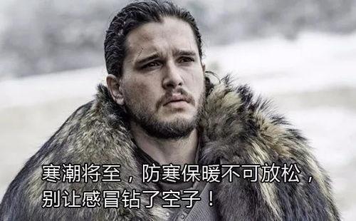 网红必须死吃瓜的雪诺,网红吃瓜达人，揭秘娱乐圈幕后真相